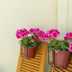 וילה La Casa A Zia