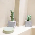 La Casa A Zia *