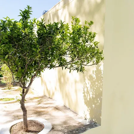 Villa La Casa A Zia Lagoudi Zia